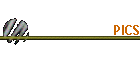 PICS